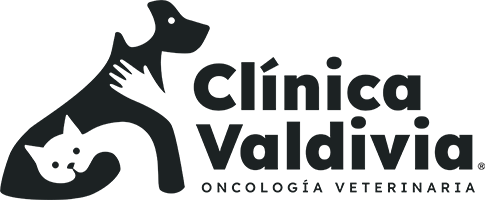 Clínica Veterinaria Valdivia